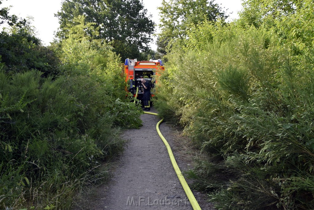 Waldbrand Koeln Hoehenhaus Hoehenfelder Mauspfad P050.JPG - Miklos Laubert